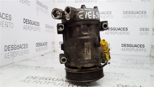 compresor-aire-acondicionado-citroen-xsara-picasso-1999-1-6-hdi-32.jpeg